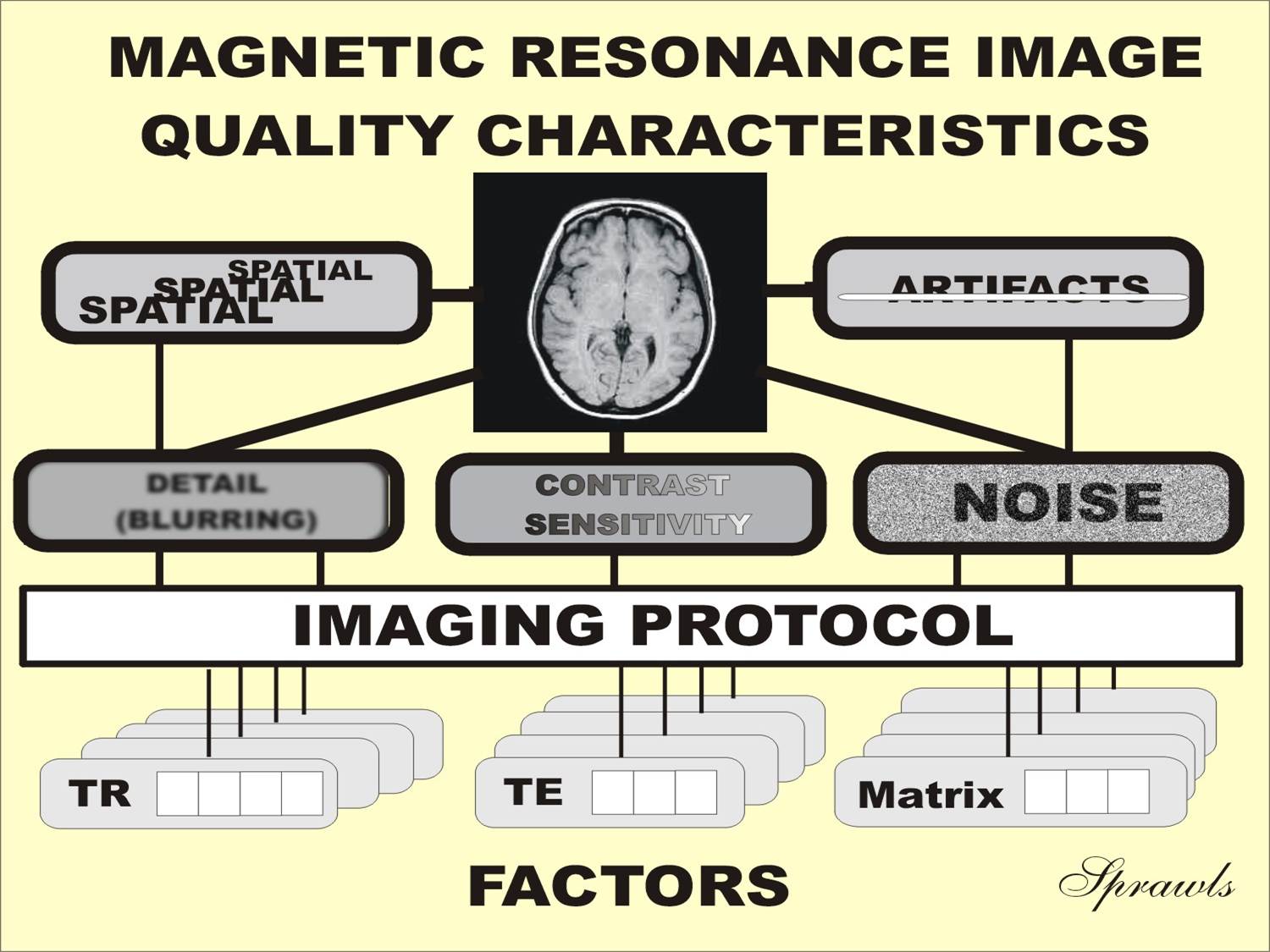 Factors Affecting Image Quality In Mri